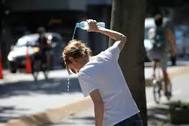 images - 2025-12-07T120940.088