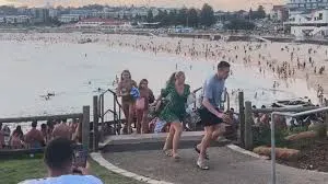 images - 2025-12-14T081937.847