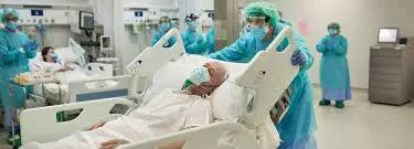 images - 2025-09-30T070425.851