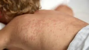 images - 2025-12-08T084905.138