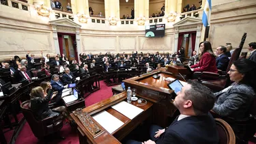 senado-la-nacionjpg