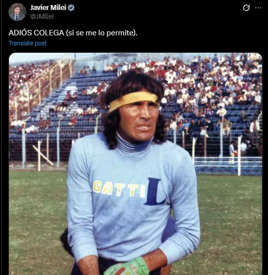 milei-loco-gatti-1