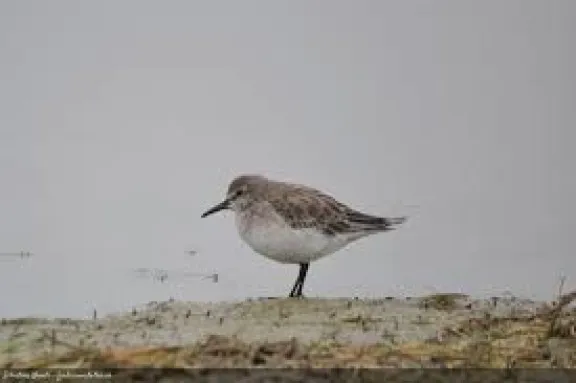 multimedia.miniatura.af808fa29143528f.eHNfbWluaWF0dXJhLndlYnA=