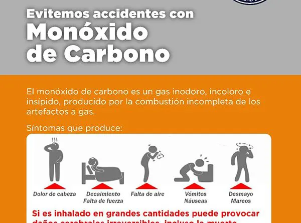 multimedia.miniatura.9d572c4847ce183d.bWluaWF0dXJhLndlYnA=