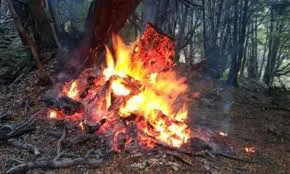 images - 2025-10-26T202339.228