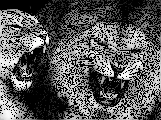 leones