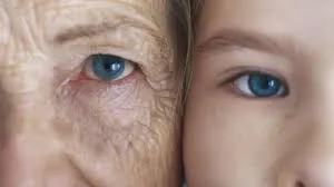 images - 2025-11-10T071355.793