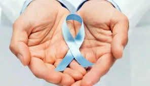 images - 2025-11-03T190950.230