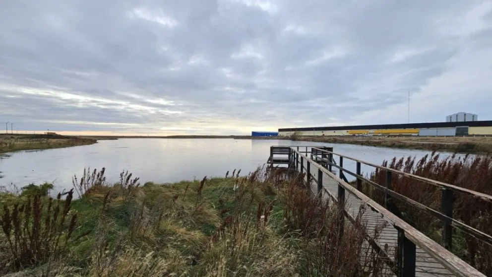 md - 2026-02-09T214123.230