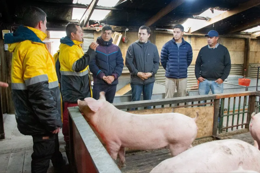 multimedia.normal.8ef586ca523a3d5f.bm9ybWFsLndlYnA=