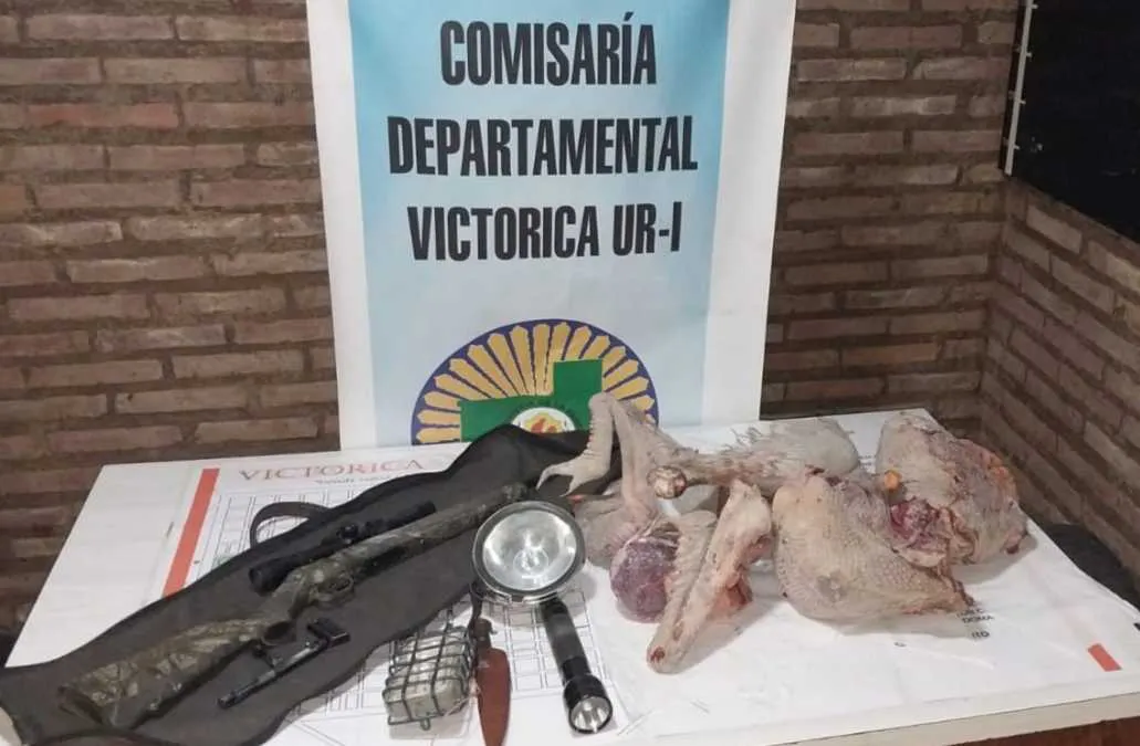 carnenanduincautada202455555