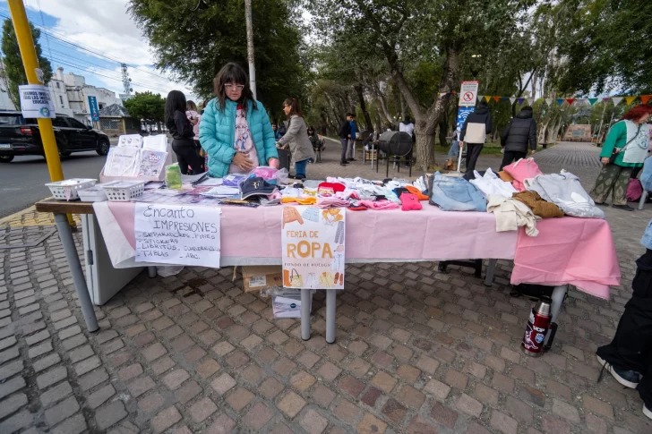 feria-docente-adosac-plaza-san-martin-1-728x485