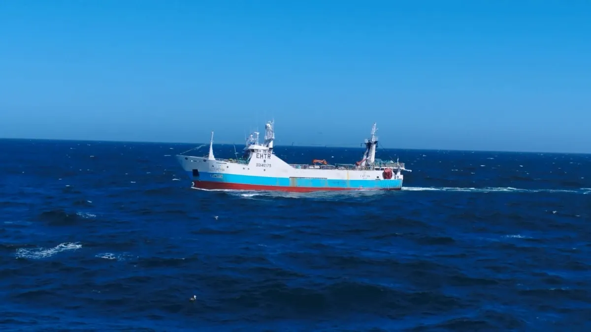 multimedia.normal.b86d85d700d10817.bm9ybWFsLndlYnA=