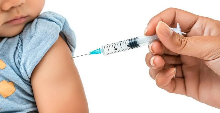 multimedia.normal.86ed924a572c5fca.bm9ybWFsLndlYnA= (1)