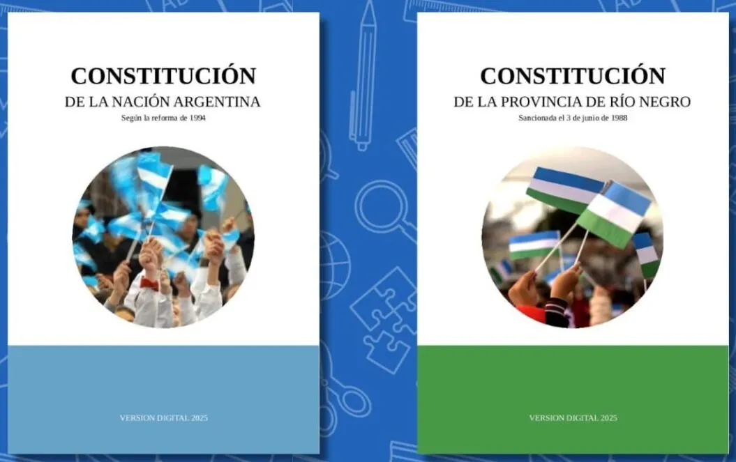 Constitucion-e1746830033484