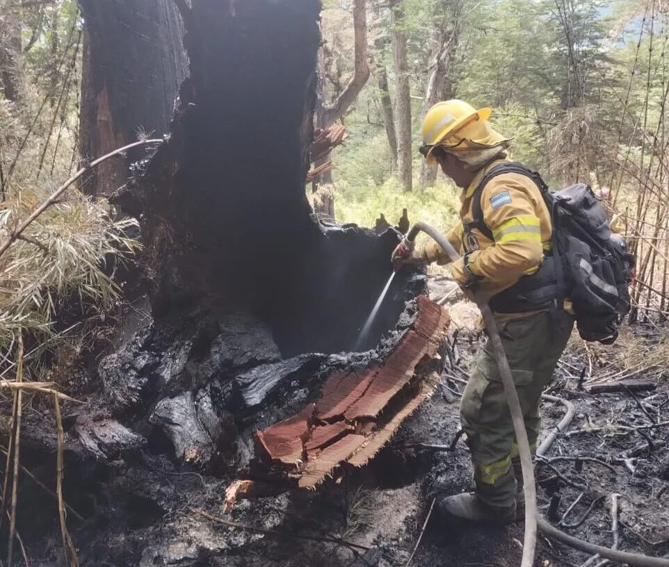incendios-2-e1737864136528