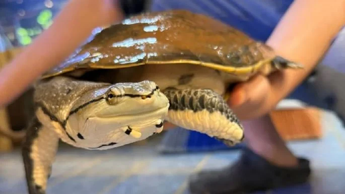 f685x385-871237_908930_5050