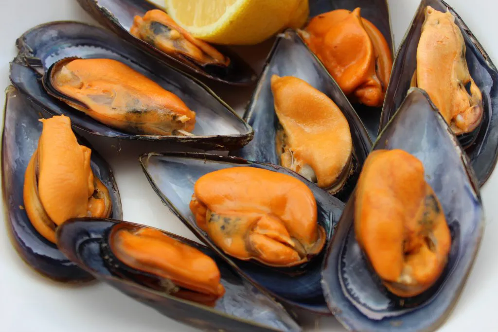 mejillones