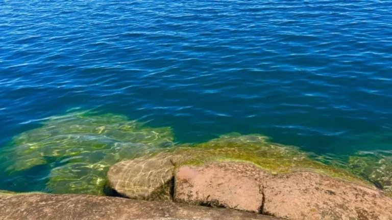 f768x1-873099_873226_5050