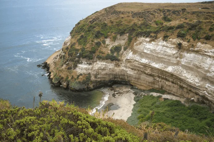 quirilluca-e1559833396402