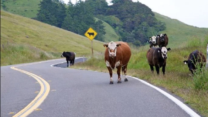 f685x385-784441_822134_5050