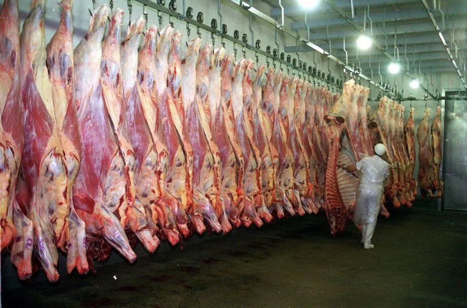 carne-e1685051509113