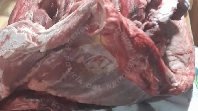 f685x385-814661_852354_5050