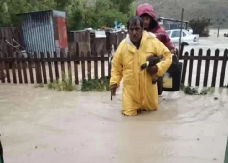 Captura-de-pantalla-2025-01-01-102030-728x522