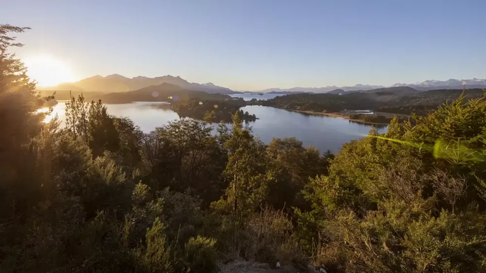 Bosques-Cordillera