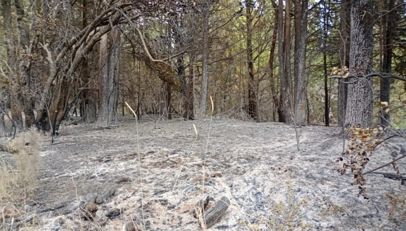 incendio trevelin9