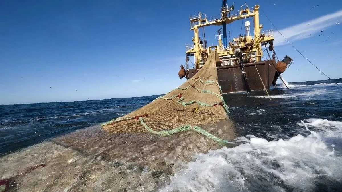 Foto-pesca-de-arrastre