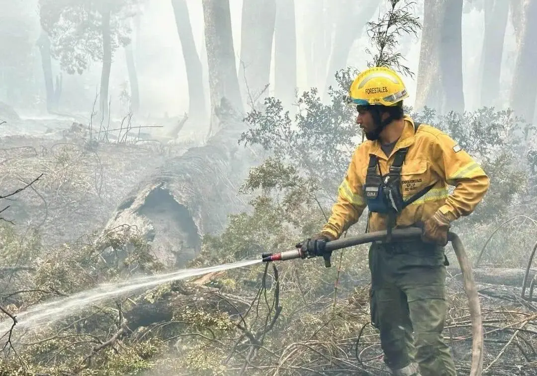 incendio-e1707754286334