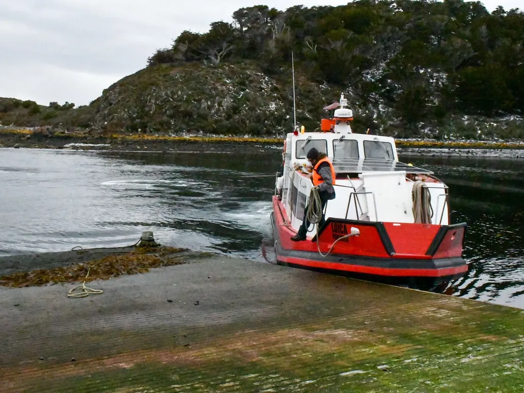 0aeefd56-39c8-4be0-b2ee-aa9007d9cb2f-large-standard-q100