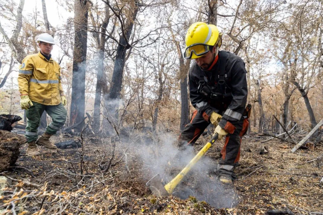 multimedia.normal.b1bfe3c6e9ba4fe2.bm9ybWFsLndlYnA=