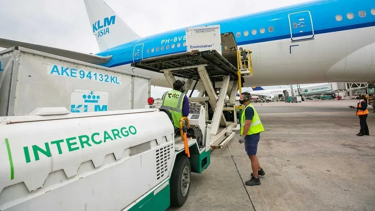 intercargo