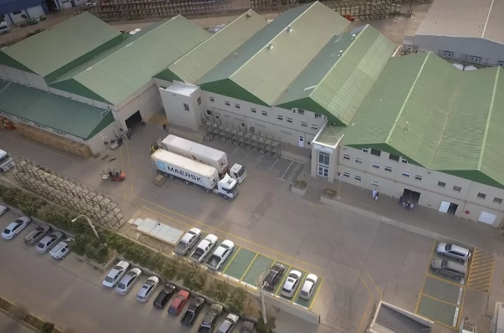 planta-vepez-728x482