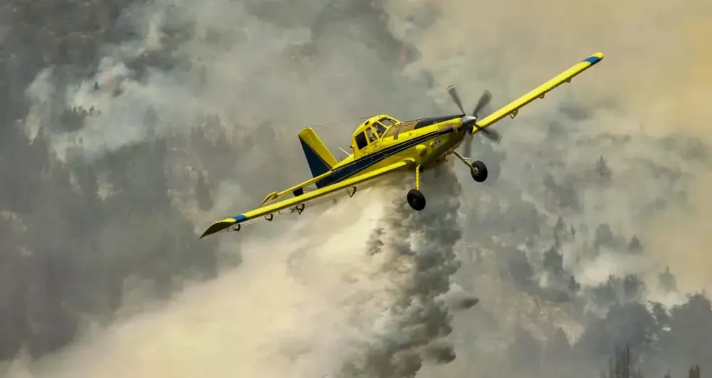 avion-1.jpg-e1732764317413