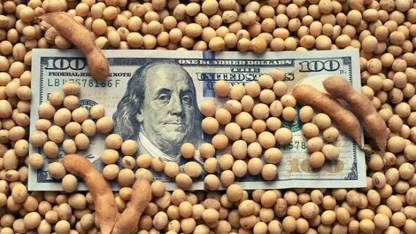 Dolar-blend