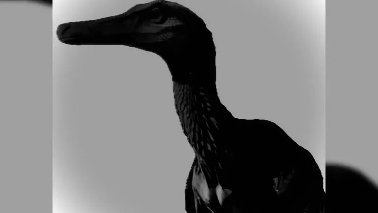 dinosaurio-teropodo-neuquenjpg