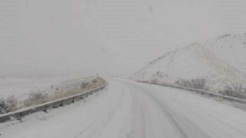 66717fd3114e7_800_450!