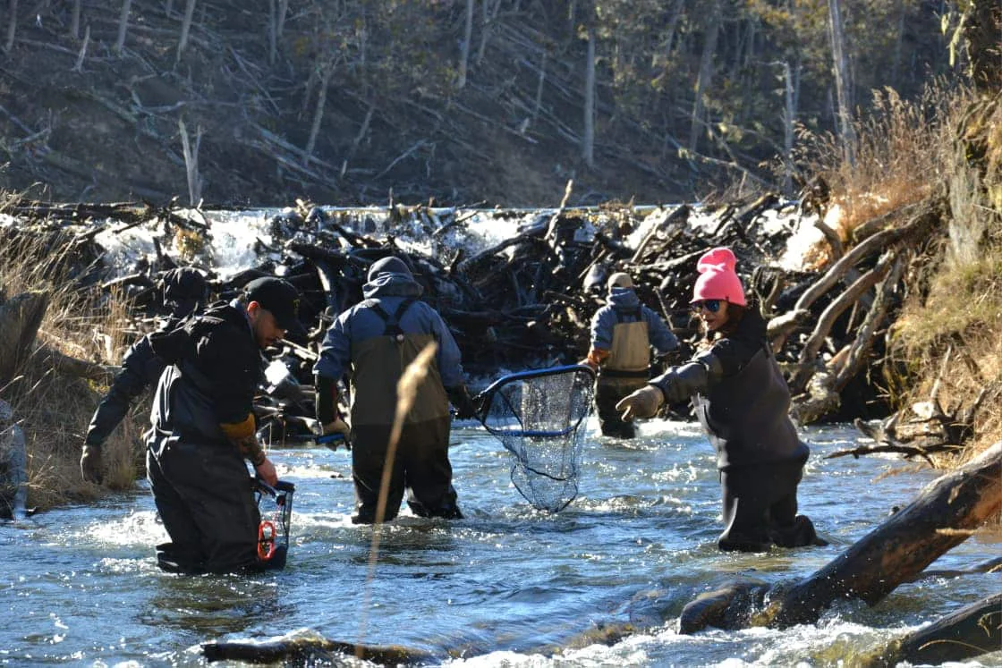 Repoblamiento-de-rios-temporada-pesca-26