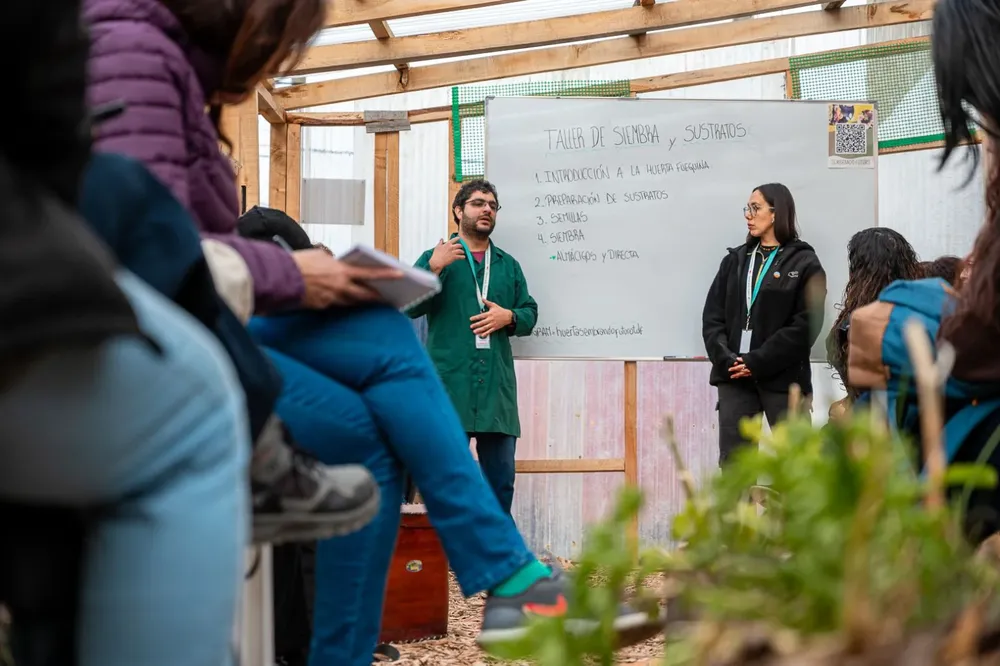 Huerta taller siembra 5