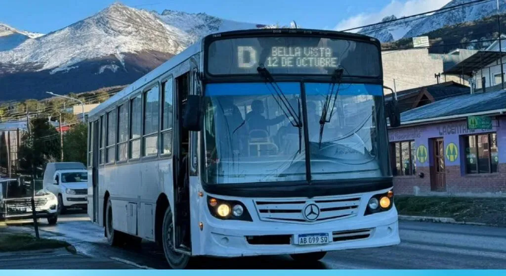 photo_5089387550157245474_y-e1767126113178