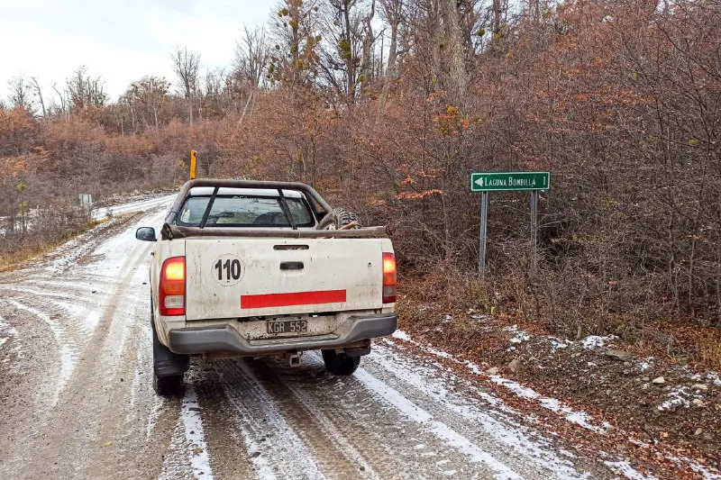 multimedia.normal.b2866304d5cca7ef.ZWU3ZDU5MmItZjk3My00MzM1LTg2MWYtZjllNDBmNzRfbm9ybWFsLndlYnA=