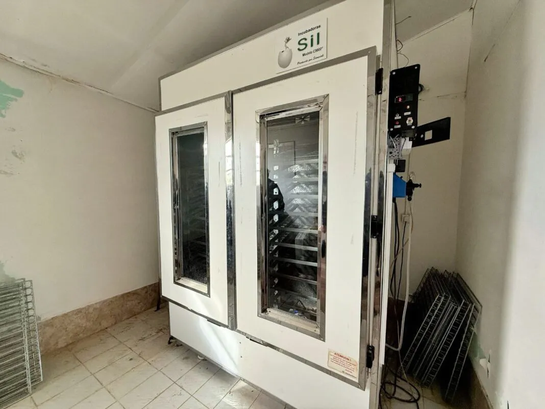 multimedia.normal.ac41c9deb81c6394.bm9ybWFsLndlYnA= (1)