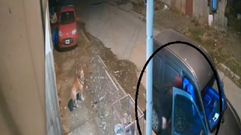 681f62804c6a5_800_450!