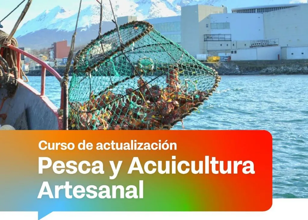 CURSO