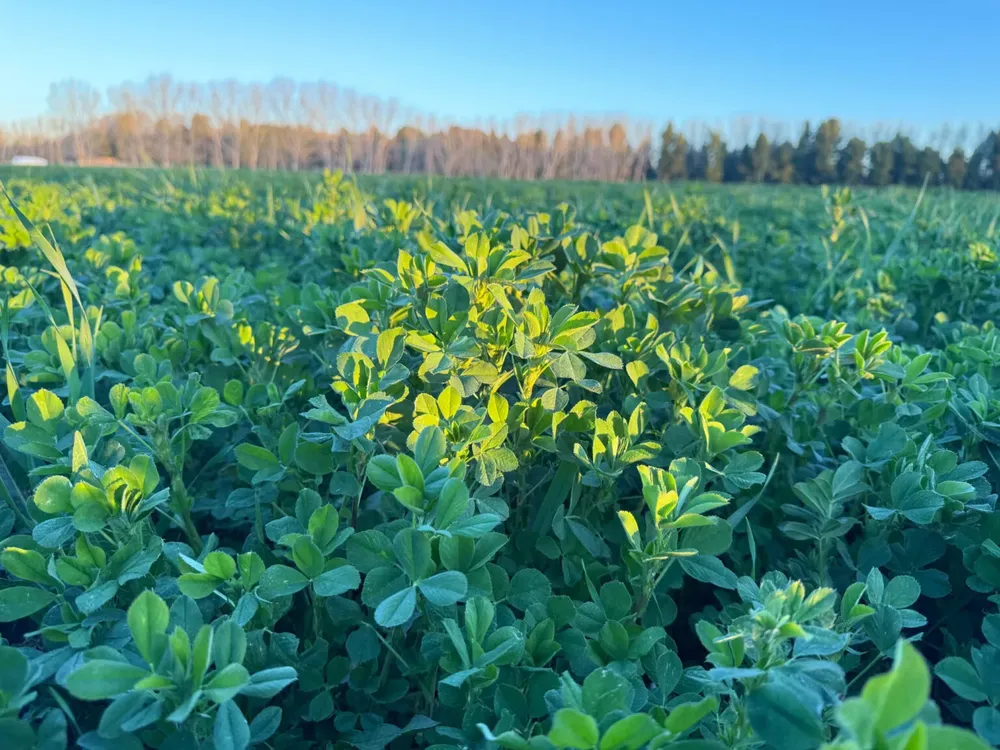 1763387330_99d2f3e67f4fb88f35eb-1536x1152