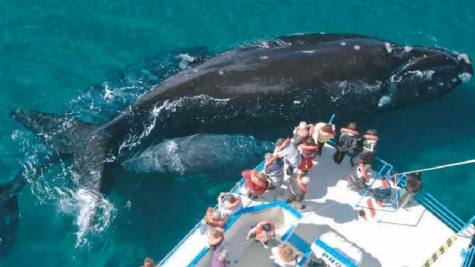 371689_crop_13227_lg