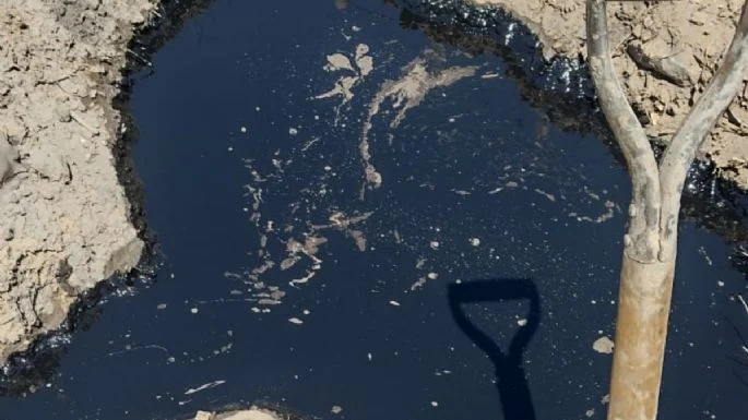 f685x385-789435_827128_5050